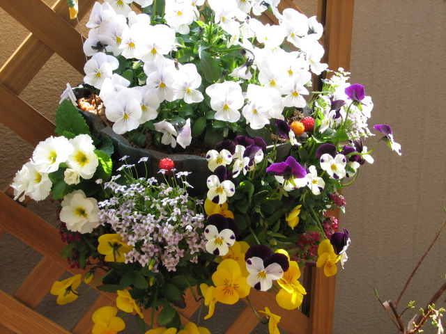 �����ϥ󥮥�