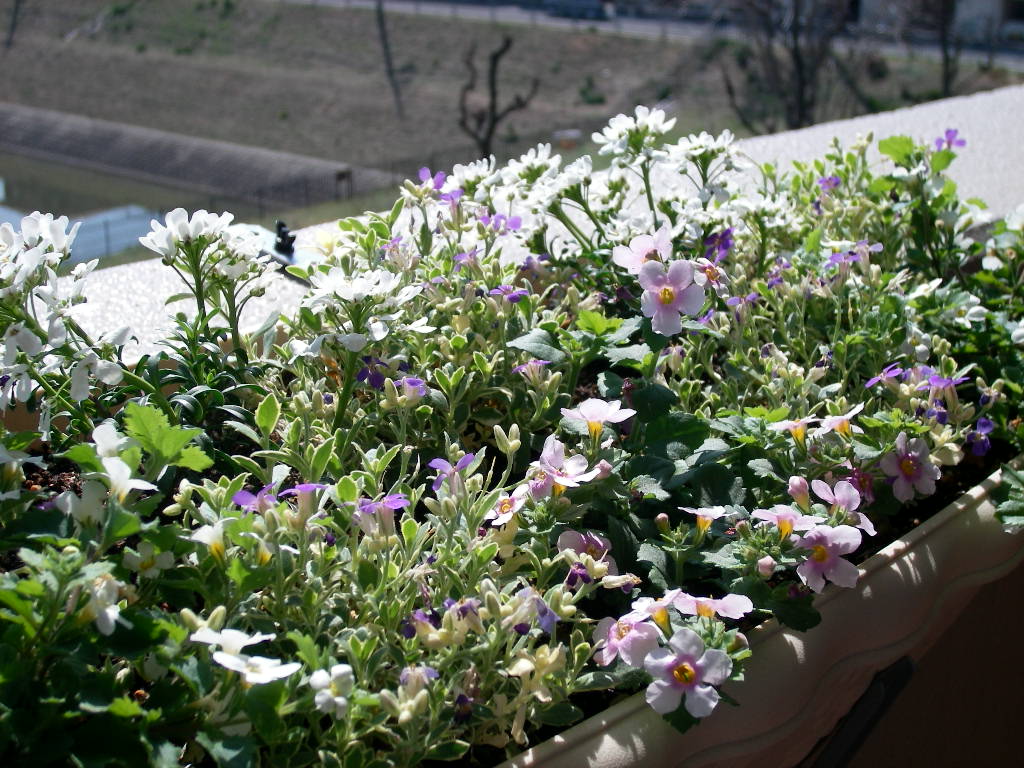 ベランダから外を望む ベランダから外を望む