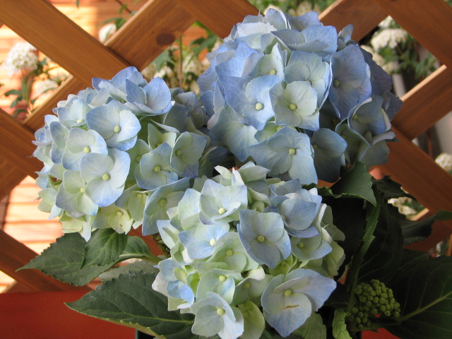 �󤤤�������