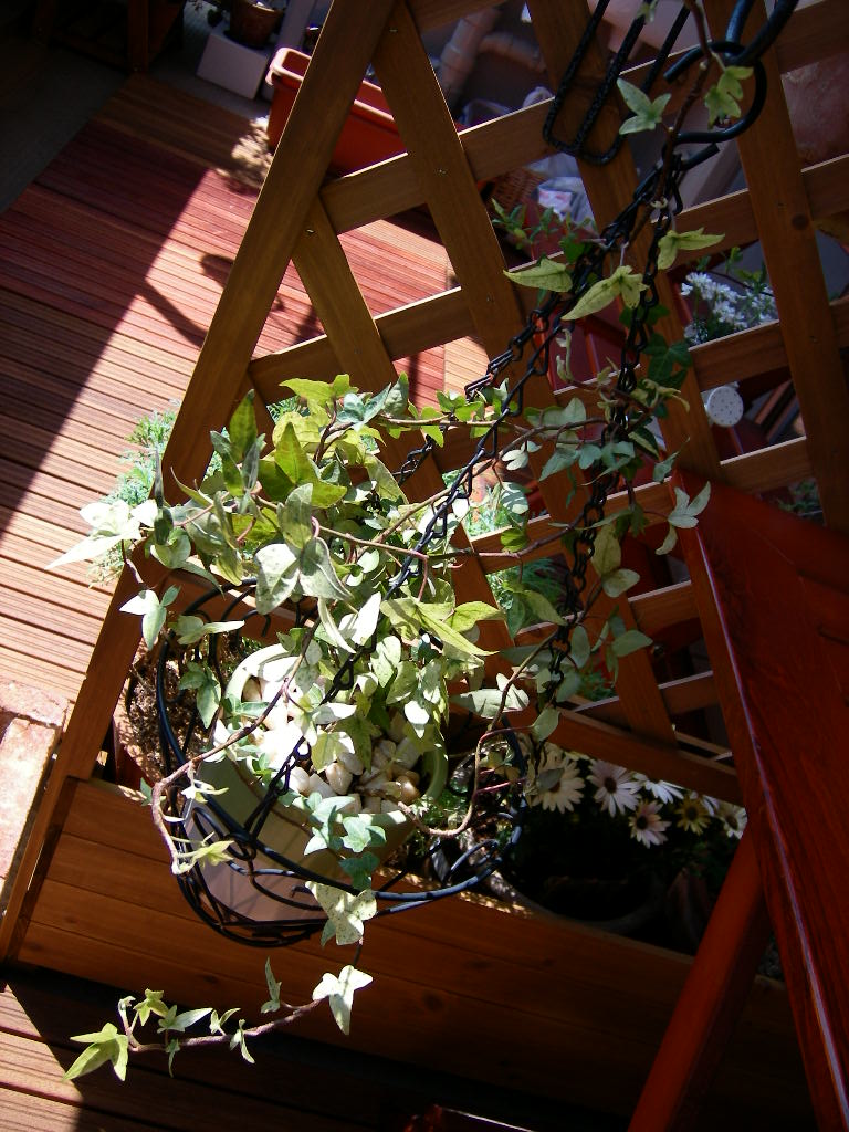 �٥����ǥ�󥷥�å�