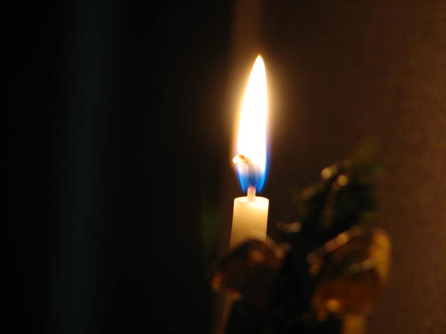 ���������α�