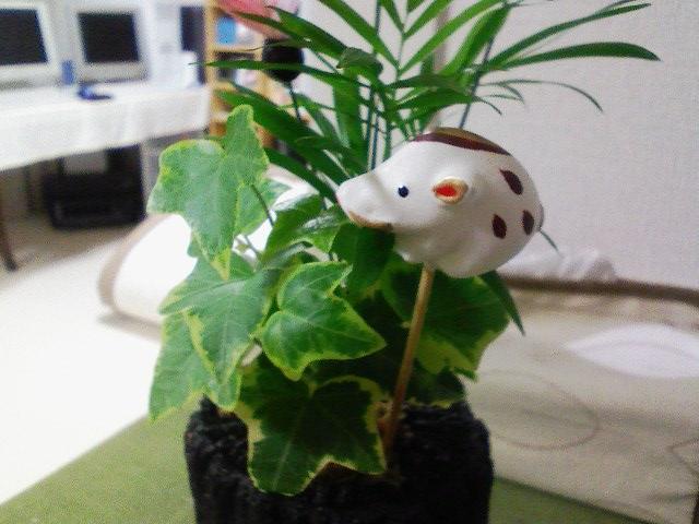 おめでとう~ござる おめでとう~ござる