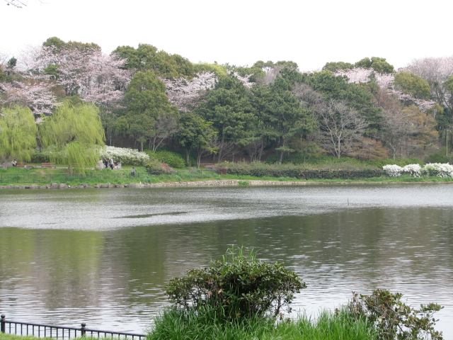 公園の風景