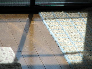 じりじりな日差し